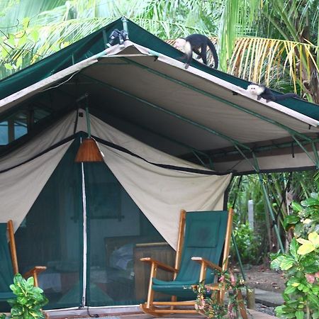 Rafiki Beach Camp Matapalo  외부 사진