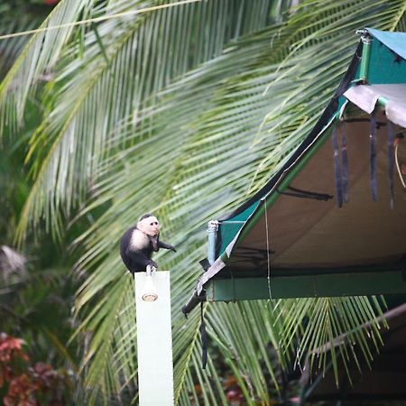 Rafiki Beach Camp Matapalo  외부 사진