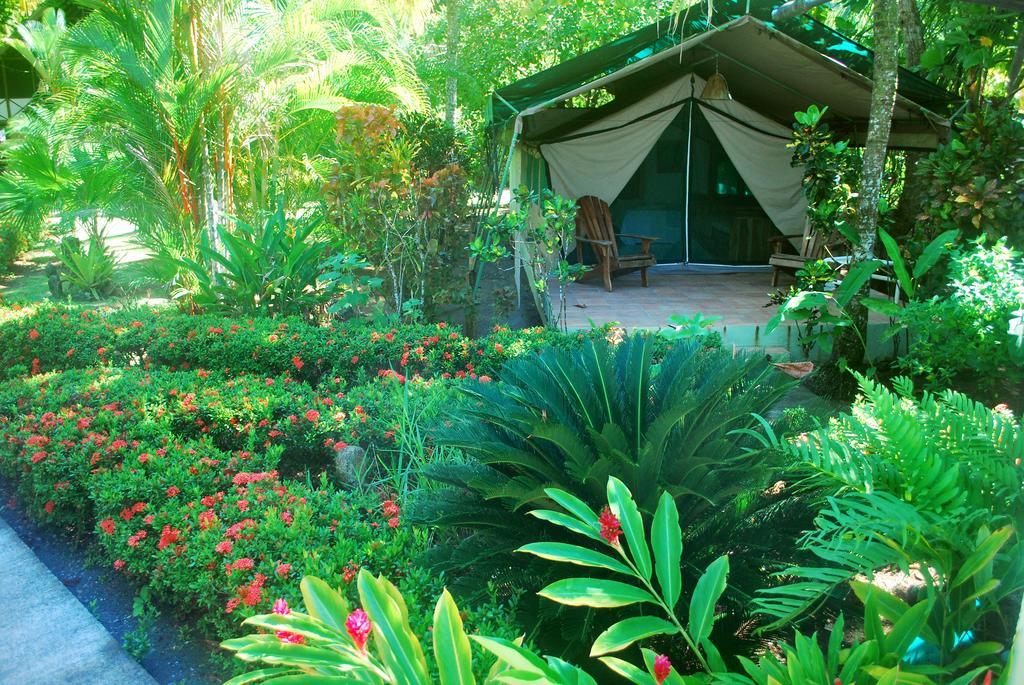 Rafiki Beach Camp Matapalo  객실 사진