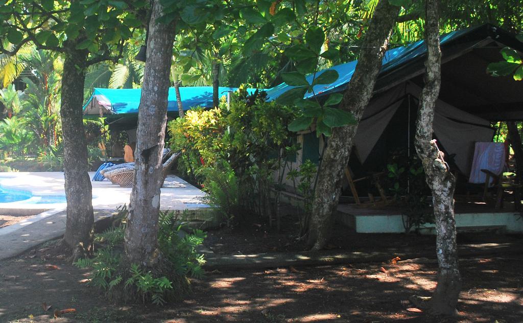 Rafiki Beach Camp Matapalo  객실 사진