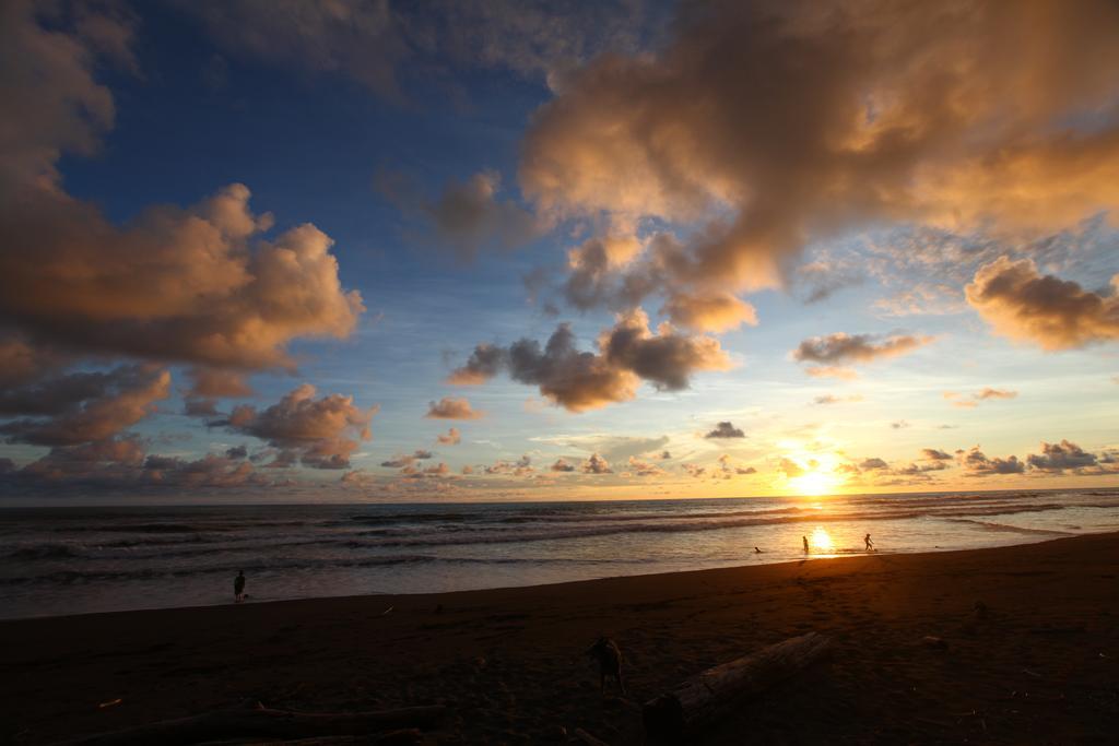 Rafiki Beach Camp Matapalo  외부 사진